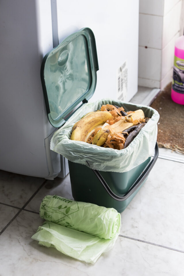 Compostable Green Food Waste Liner 80L (CW080CO)