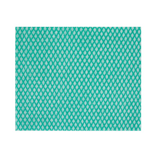 Cloth All Purpose GREEN (RS) 104390