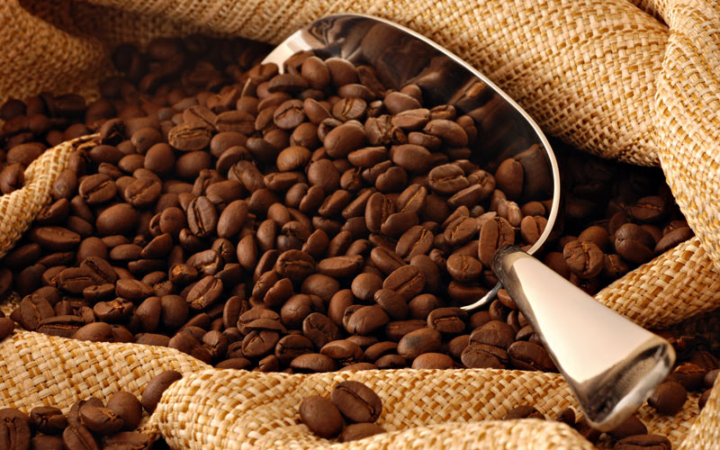 Organic Fair Trade Freedom Coffee Beans