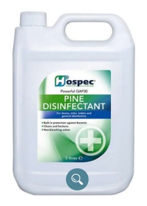 Pine Disinfectant 5ltr (ZT1258850P)