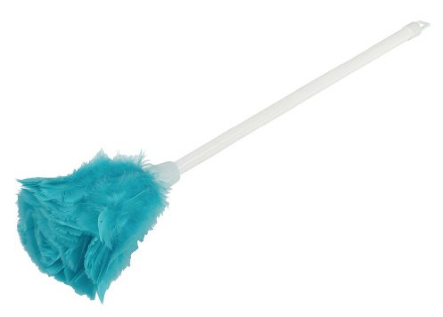 Feather Duster on Stick 4ft (IFD00001)