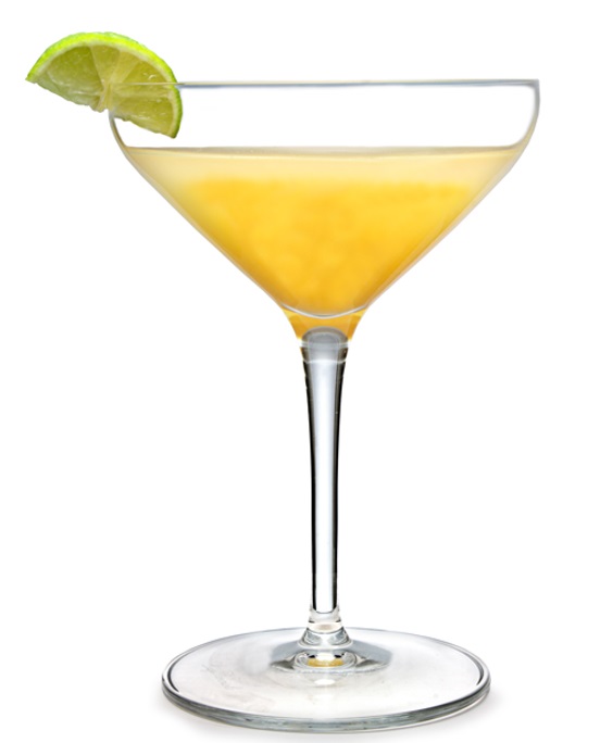 Atelier Cocktail & Champagne Coupe Glasses 10.5oz