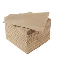 Napkin 33/2ply Recycled (3324RC)