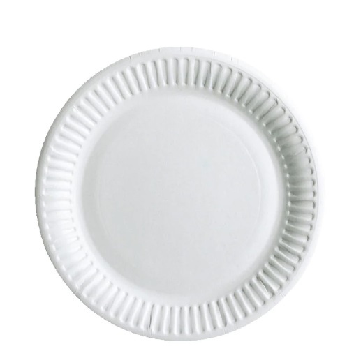 Paper Plate 9