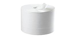 Centre Feed Toilet Roll 2ply (STR200)