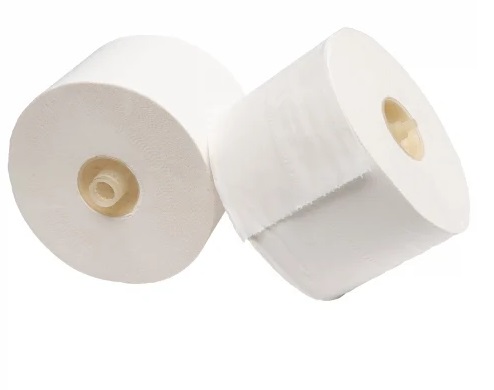Toilet Roll Sugarcane 2ply(FIG903M) Ecomatic