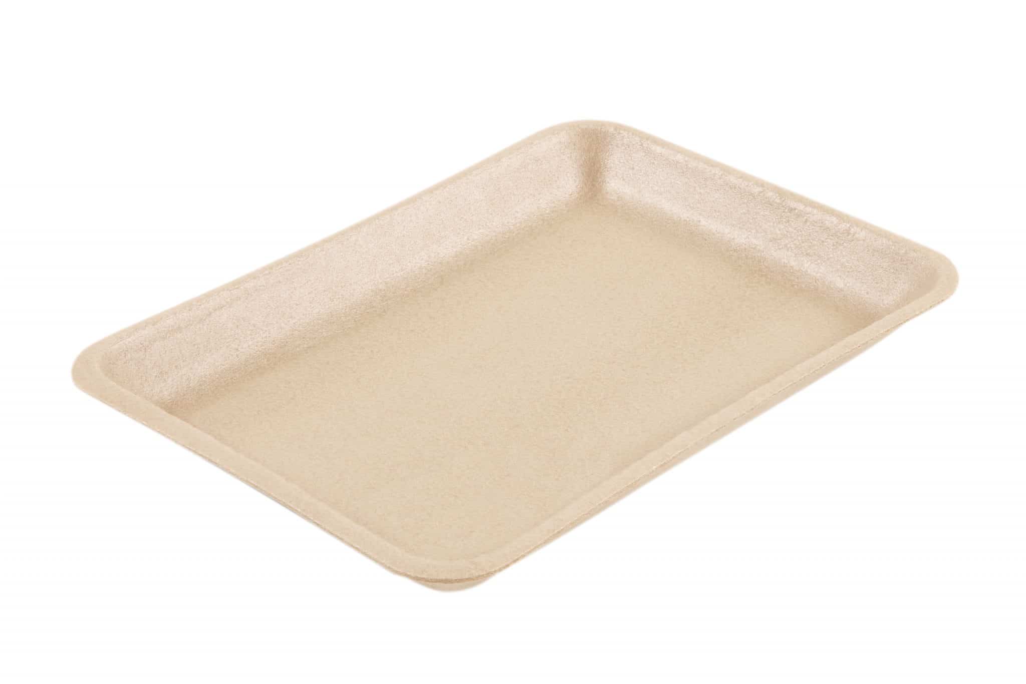 Infinity Recyclable 18D EPP Tray 265x190x27mm(LP183)